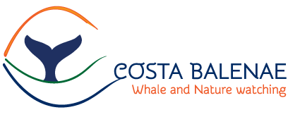 Costa Balenae